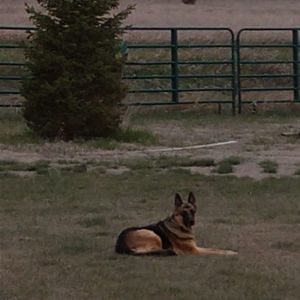 Meet your Posher, Alison